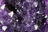 Free-Standing Amethyst Crystal Cluster - Uruguay #368288-1